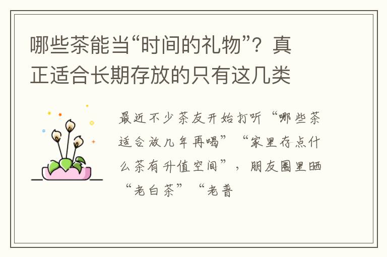 哪些茶能当“时间的礼物”？真正适合长期存放的只有这几类