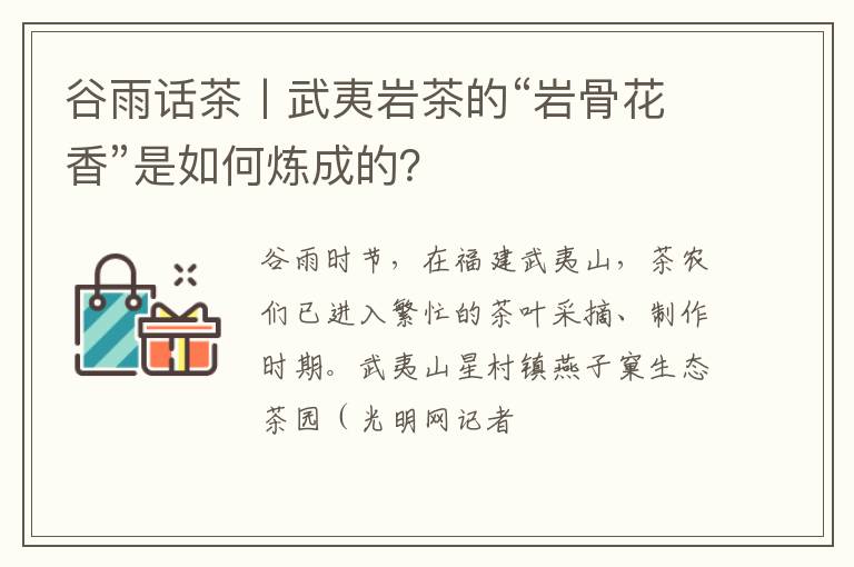 谷雨话茶丨武夷岩茶的“岩骨花香”是如何炼成的？