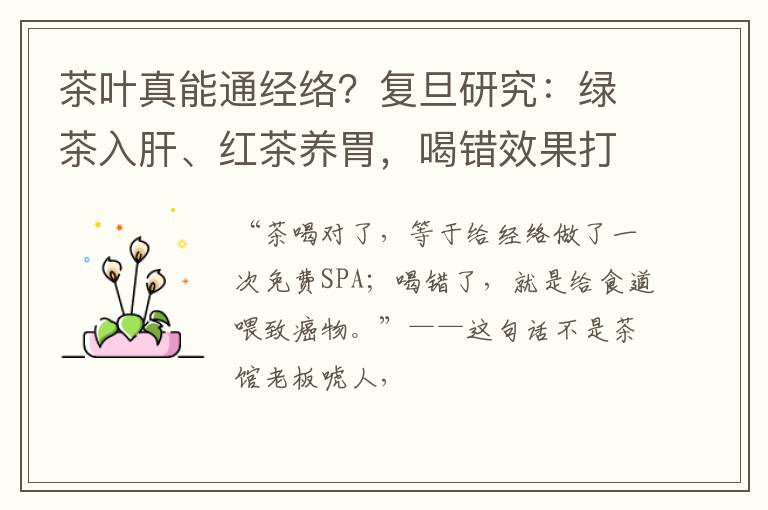 茶叶真能通经络？复旦研究：绿茶入肝、红茶养胃，喝错效果打折