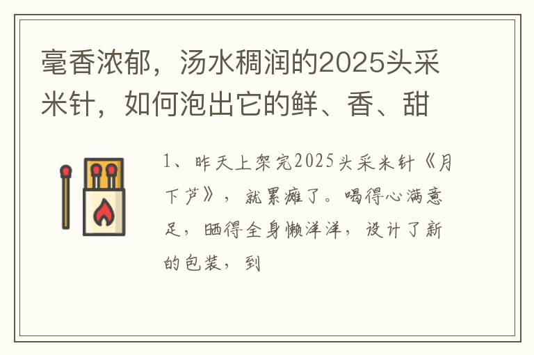 毫香浓郁，汤水稠润的2025头采米针，如何泡出它的鲜、香、甜、糯