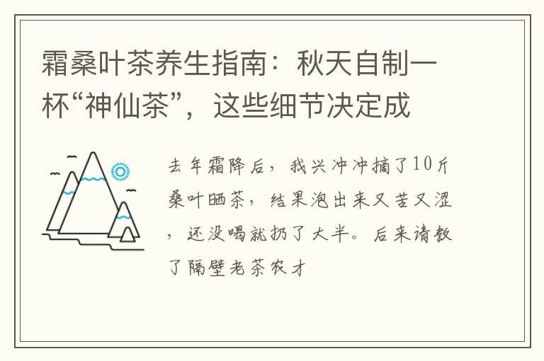霜桑叶茶养生指南：秋天自制一杯“神仙茶”，这些细节决定成败！