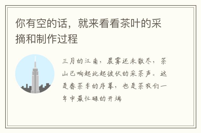 你有空的话，就来看看茶叶的采摘和制作过程