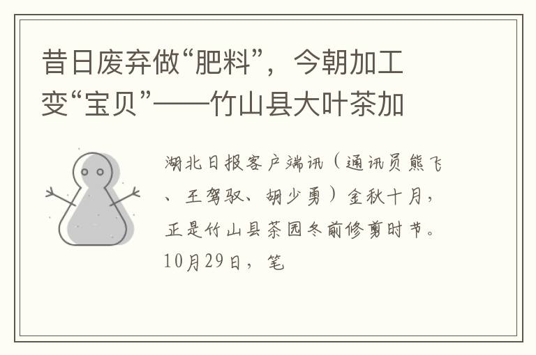 昔日废弃做“肥料”,今朝加工变“宝贝”——竹山县大叶茶加工助茶产业提质增效