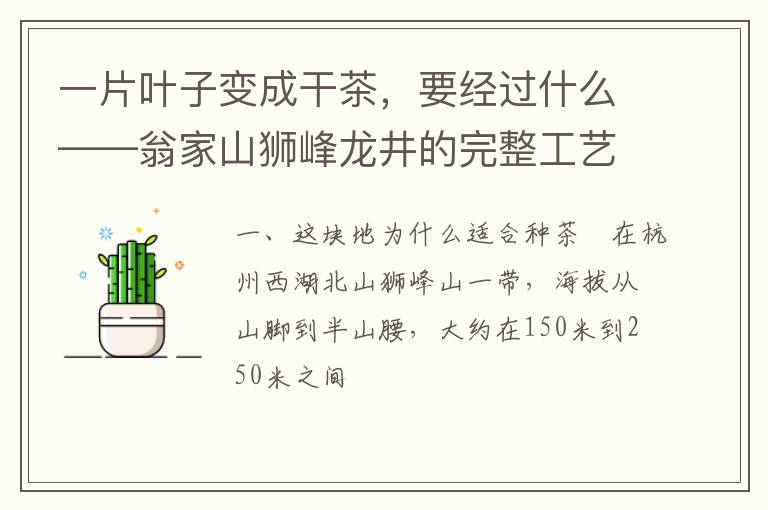 一片叶子变成干茶，要经过什么——翁家山狮峰龙井的完整工艺