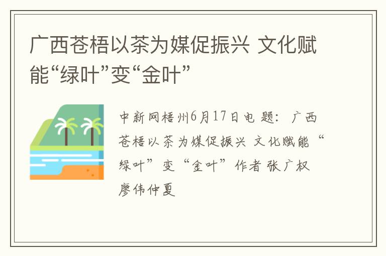 广西苍梧以茶为媒促振兴 文化赋能“绿叶”变“金叶”