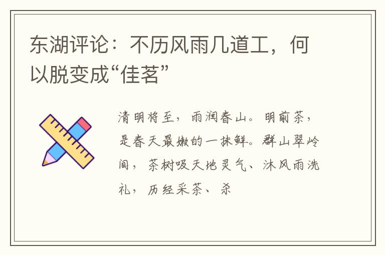 东湖评论：不历风雨几道工，何以脱变成“佳茗”