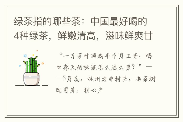 绿茶指的哪些茶：中国最好喝的4种绿茶，鲜嫩清高，滋味鲜爽甘醇