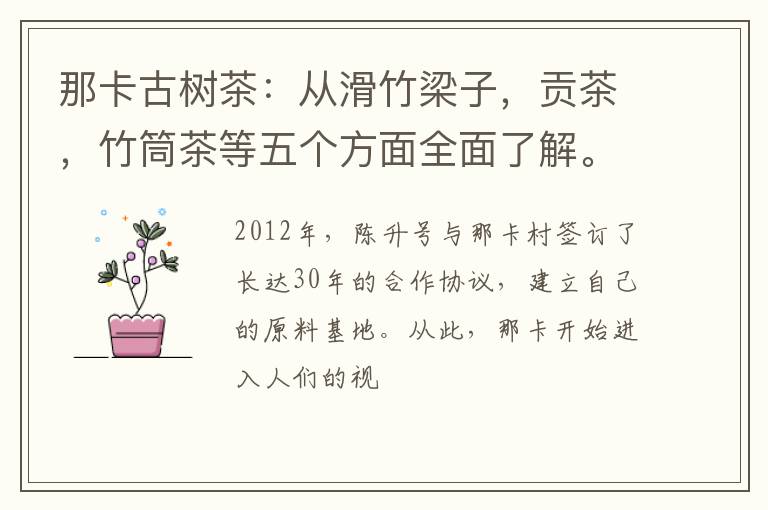 那卡古树茶：从滑竹梁子，贡茶，竹筒茶等五个方面全面了解。