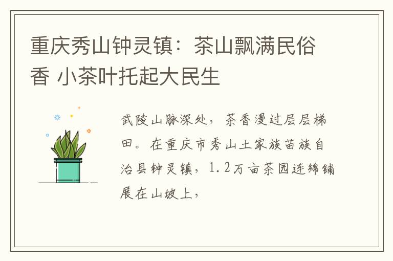 重庆秀山钟灵镇：茶山飘满民俗香 小茶叶托起大民生