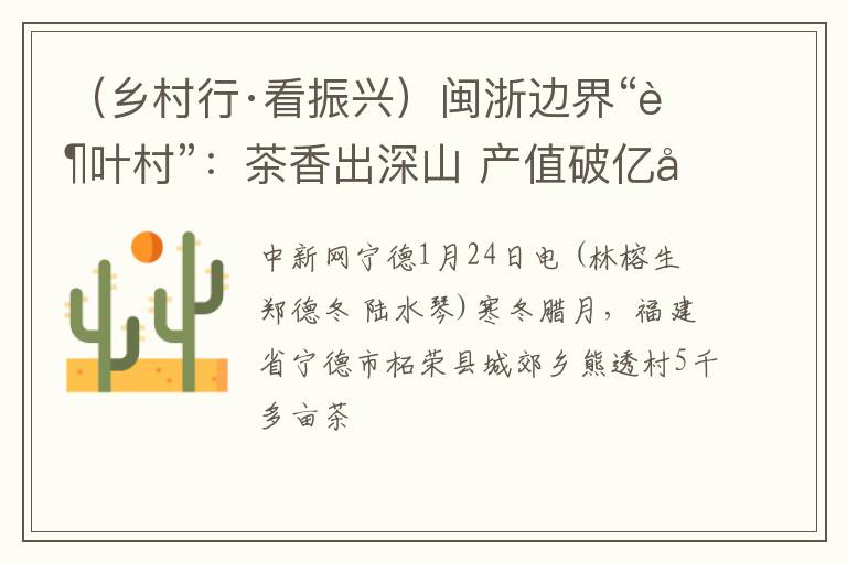 （乡村行·看振兴）闽浙边界“茶叶村”：茶香出深山 产值破亿元