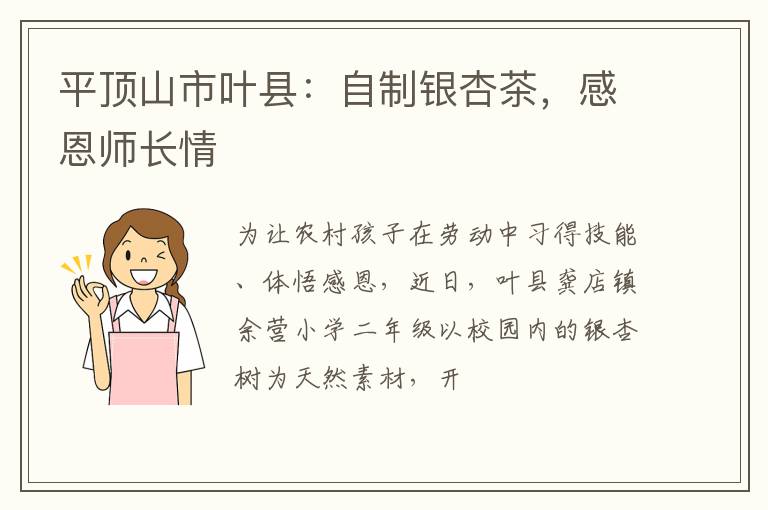 平顶山市叶县：自制银杏茶，感恩师长情