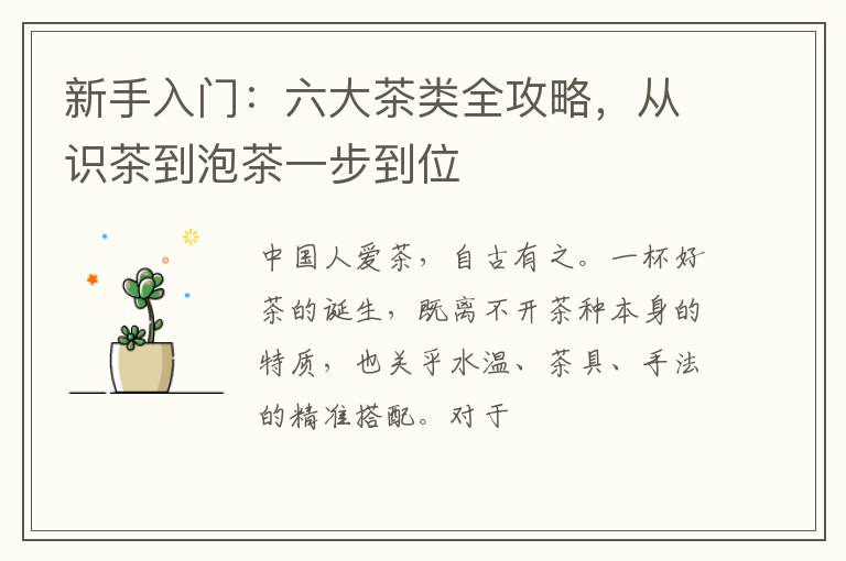 新手入门:六大茶类全攻略,从识茶到泡茶一步到位