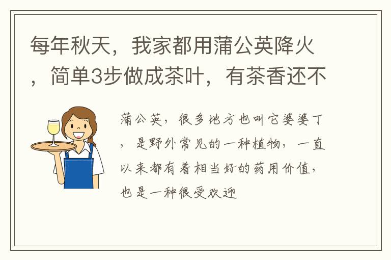 每年秋天，我家都用蒲公英降火，简单3步做成茶叶，有茶香还不苦