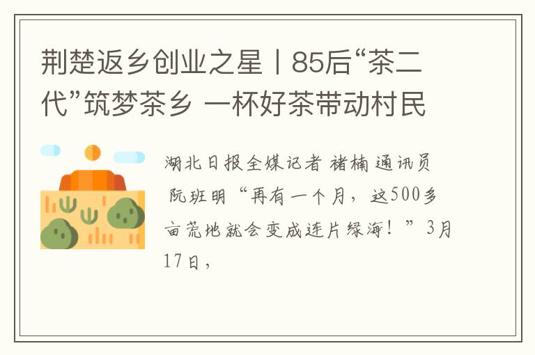 荆楚返乡创业之星丨85后“茶二代”筑梦茶乡 一杯好茶带动村民致富