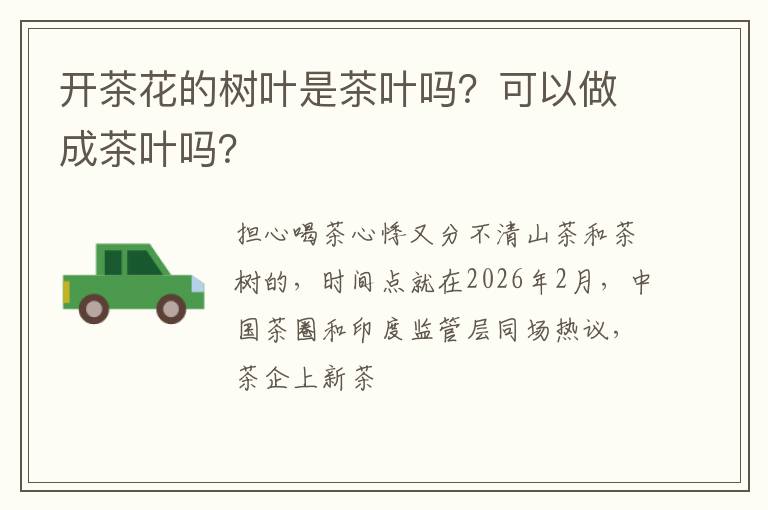 开茶花的树叶是茶叶吗？可以做成茶叶吗？