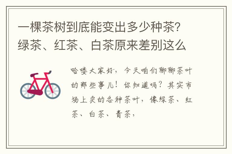 一棵茶树到底能变出多少种茶？绿茶、红茶、白茶原来差别这么大！