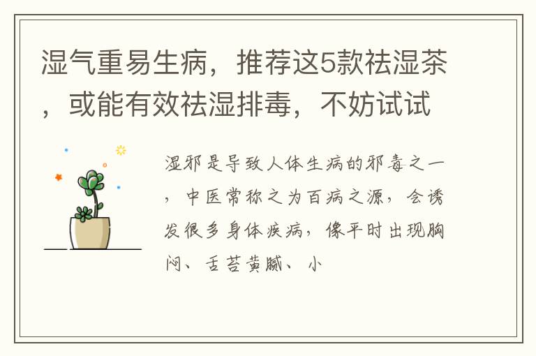 湿气重易生病,推荐这5款祛湿茶,或能有效祛湿排毒,不妨试试