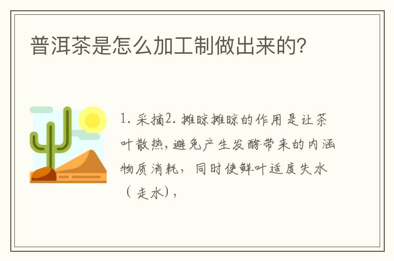 普洱茶是怎么加工制做出来的？
