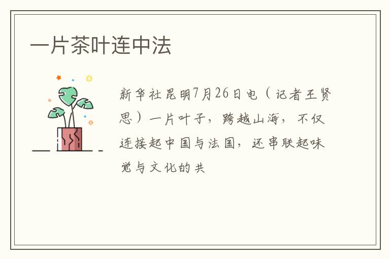 一片茶叶连中法