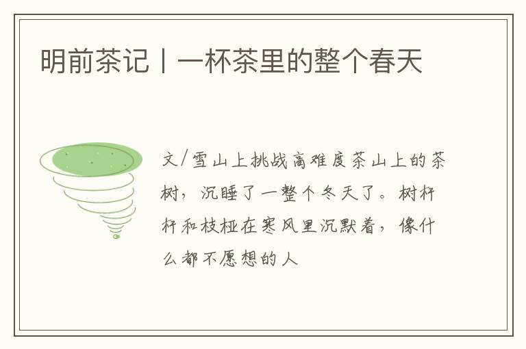 明前茶记丨一杯茶里的整个春天