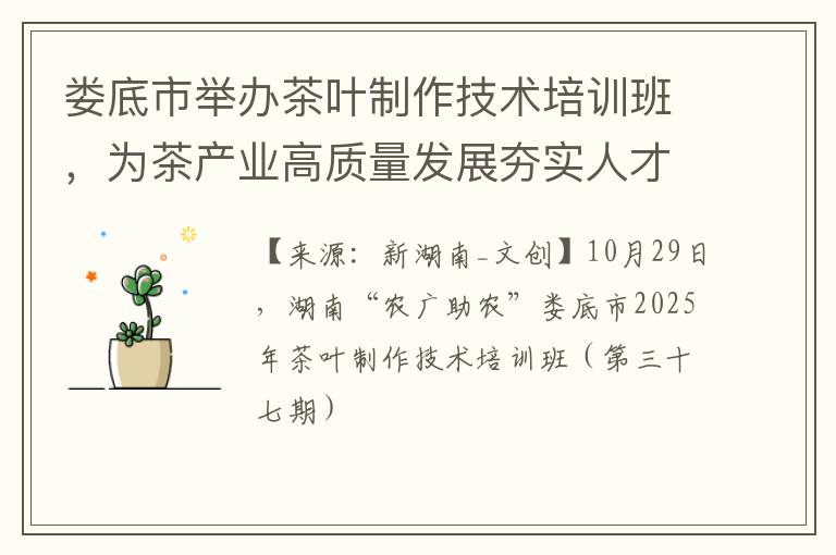 娄底市举办茶叶制作技术培训班,为茶产业高质量发展夯实人才根基