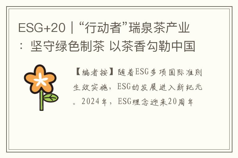 ESG+20|“行动者”瑞泉茶产业:坚守绿色制茶 以茶香勾勒中国文化