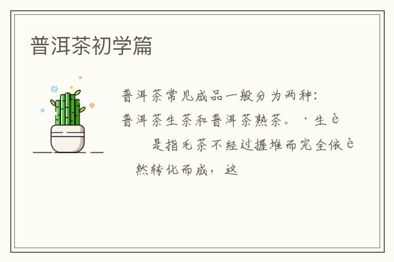 普洱茶初学篇
