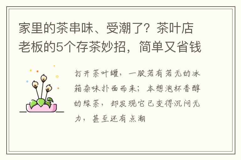 家里的茶串味、受潮了？茶叶店老板的5个存茶妙招，简单又省钱