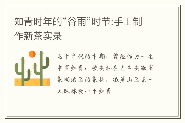 知青时年的“谷雨”时节:手工制作新茶实录