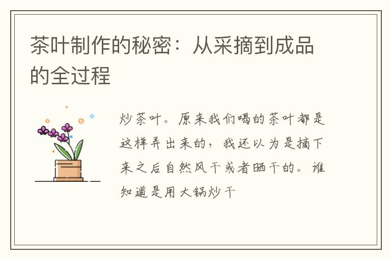 茶叶制作的秘密：从采摘到成品的全过程