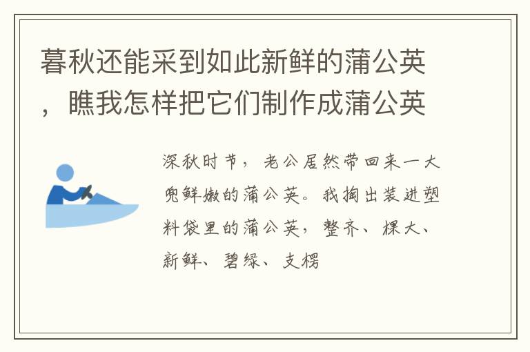 暮秋还能采到如此新鲜的蒲公英,瞧我怎样把它们制作成蒲公英茶?