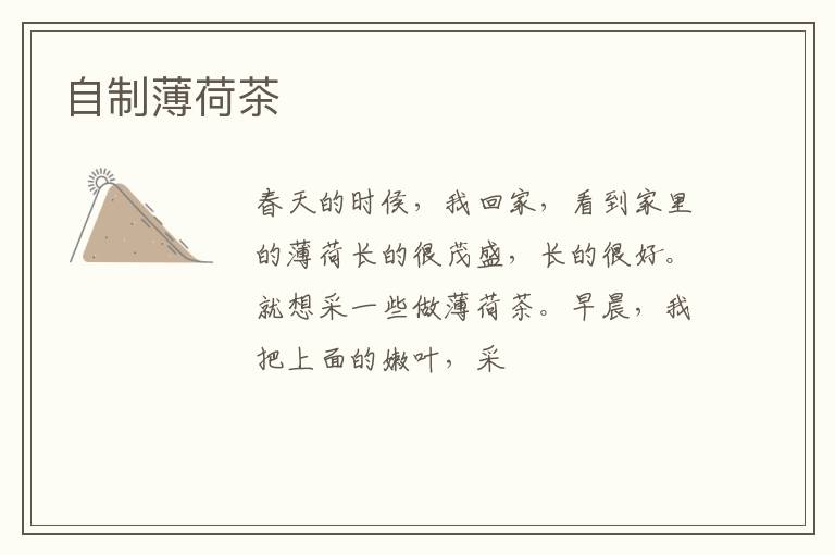 自制薄荷茶