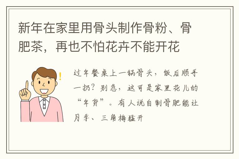 新年在家里用骨头制作骨粉、骨肥茶，再也不怕花卉不能开花