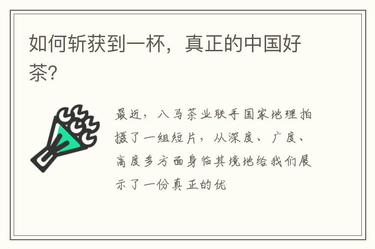 如何斩获到一杯，真正的中国好茶？