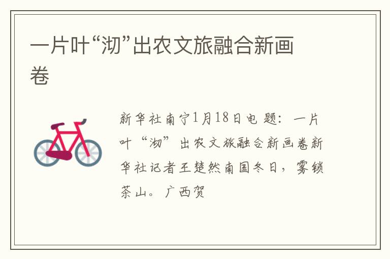 一片叶“沏”出农文旅融合新画卷