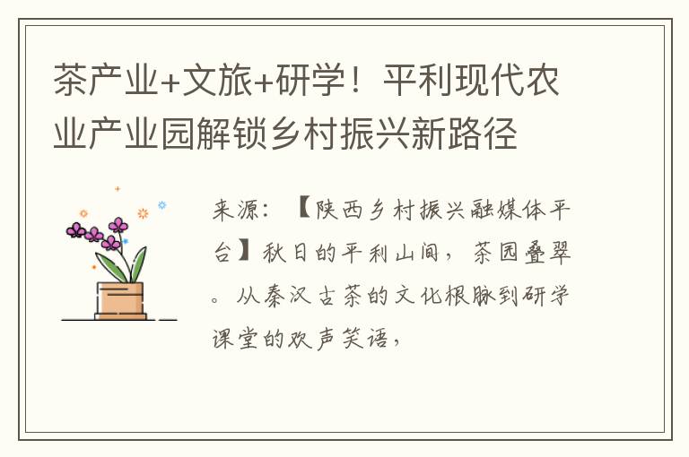 茶产业+文旅+研学！平利现代农业产业园解锁乡村振兴新路径