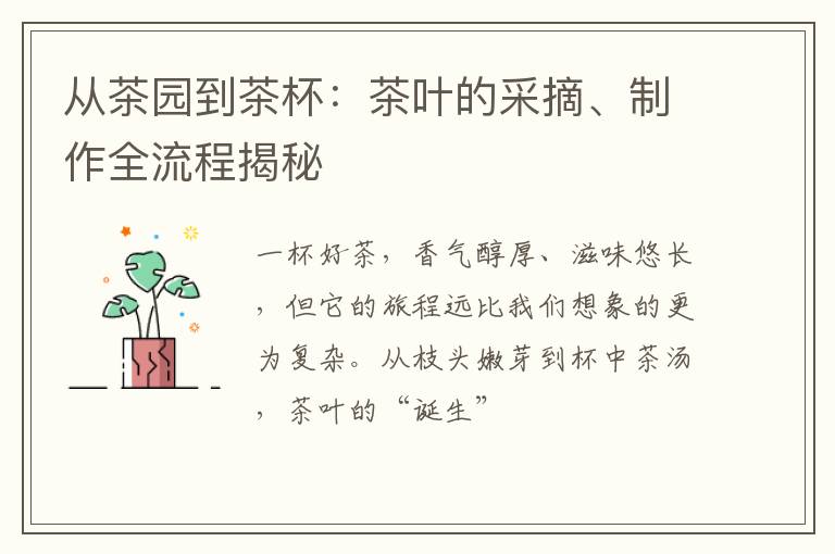 从茶园到茶杯：茶叶的采摘、制作全流程揭秘
