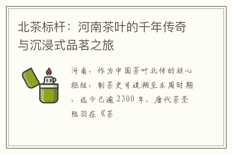 北茶标杆：河南茶叶的千年传奇与沉浸式品茗之旅